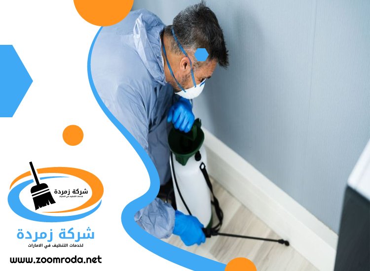 شركة مكافحة حشرات في ابوظبي