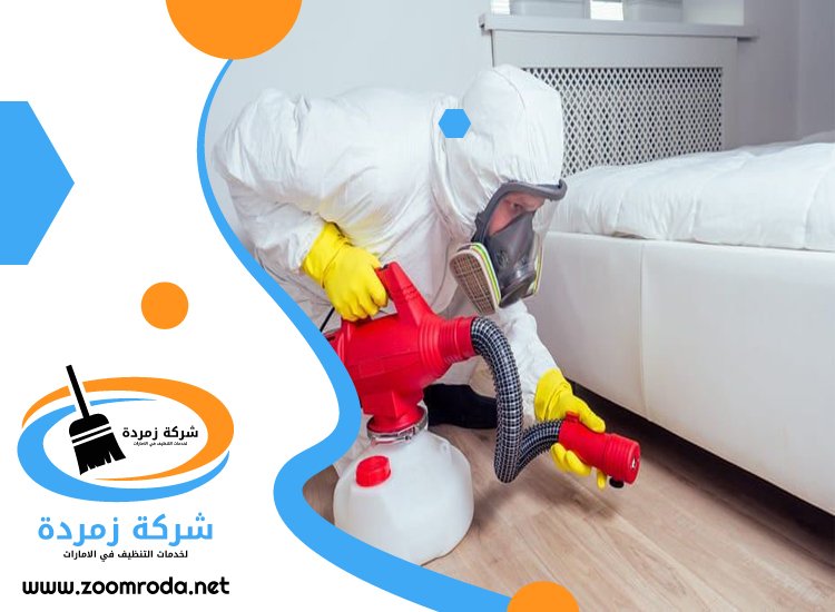 شركة مكافحة حشرات في العين