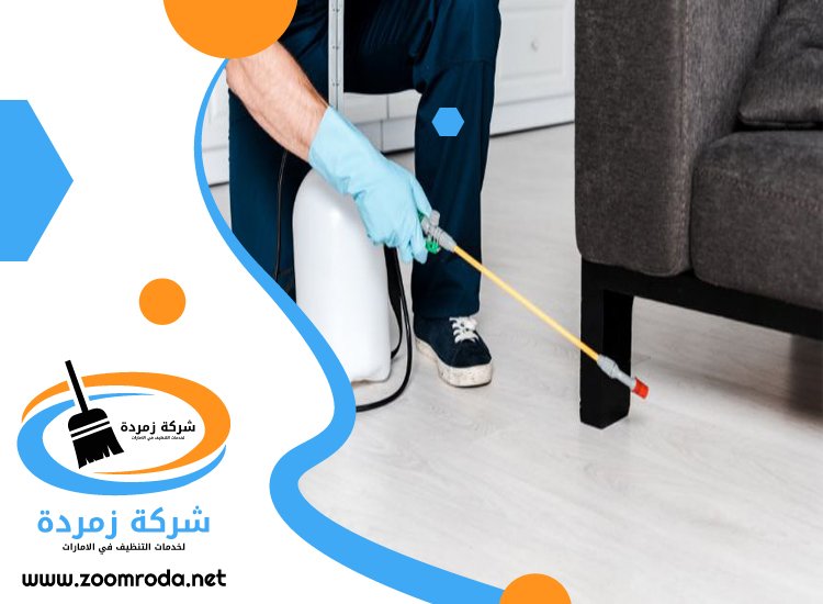 شركة مكافحة حشرات في العين