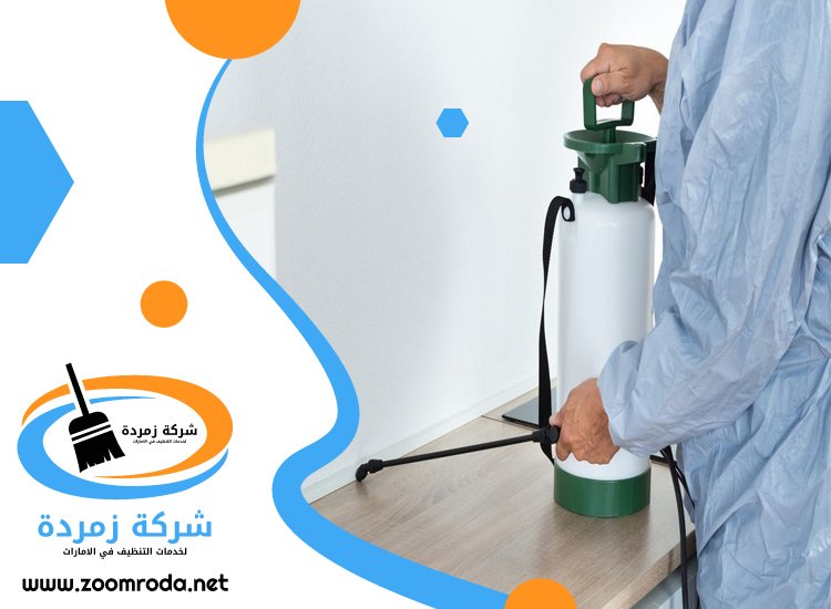 شركة مكافحة حشرات في العين
