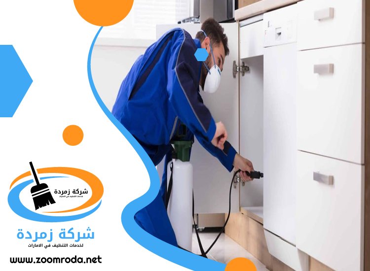 شركة مكافحة حشرات في العين