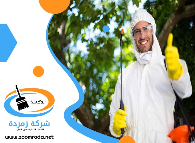 شركة مكافحة حشرات في الفجيرة