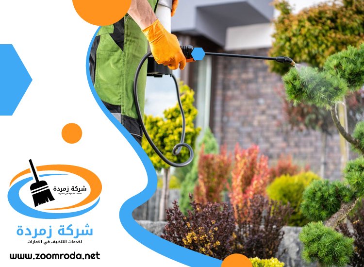 شركة مكافحة حشرات في الشارقة