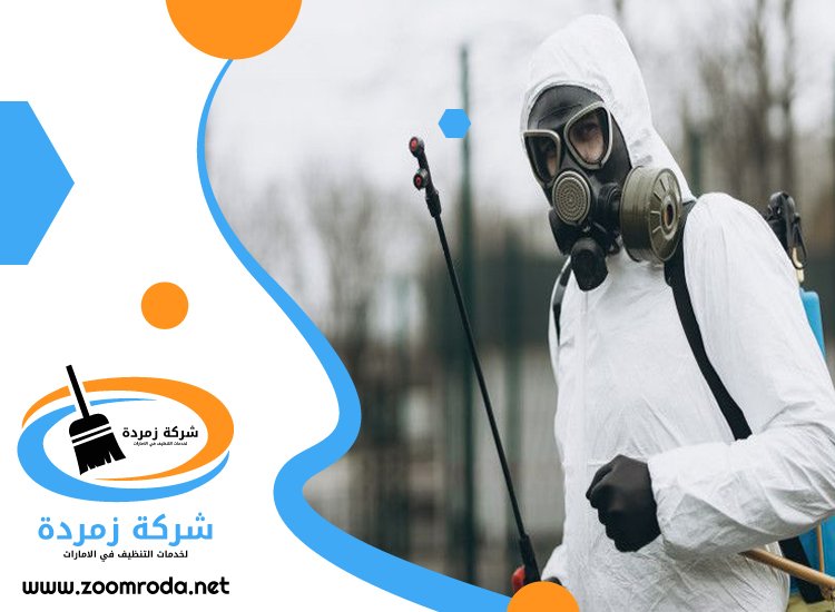 شركة مكافحة حشرات في عجمان