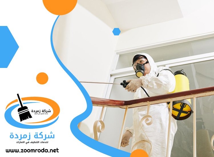 شركة مكافحة حشرات في دبي