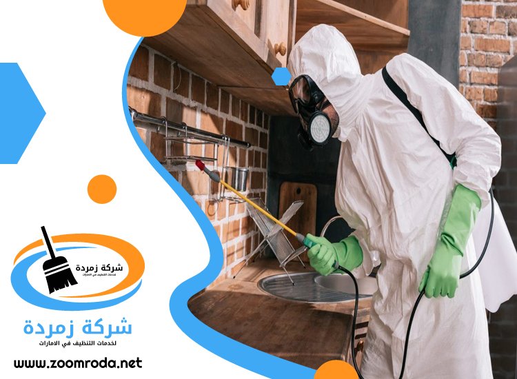 شركة مكافحة حشرات في دبي
