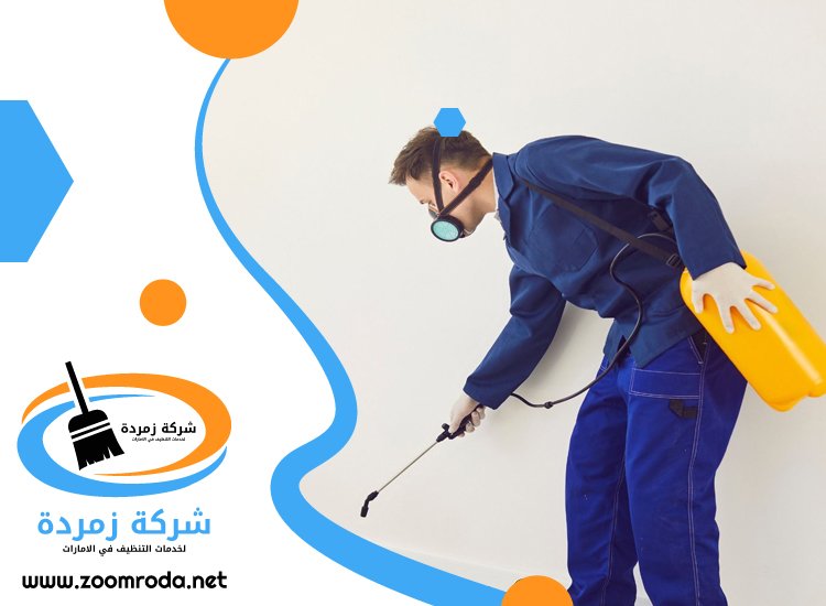 شركة مكافحة حشرات في دبي