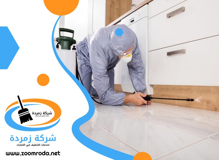 شركة مكافحة حشرات في دبي